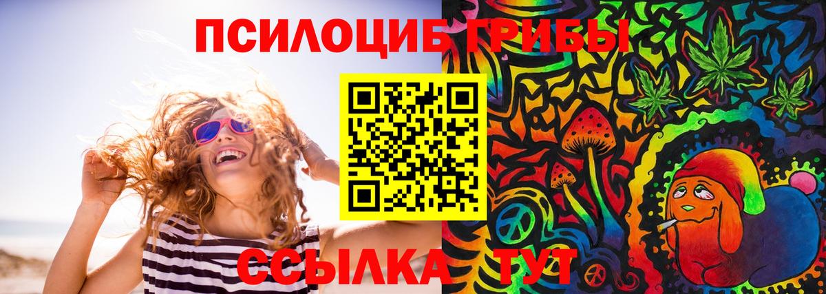 где найти   Вход с VPN  Грязи  Галлюциногенные грибы мицелий 